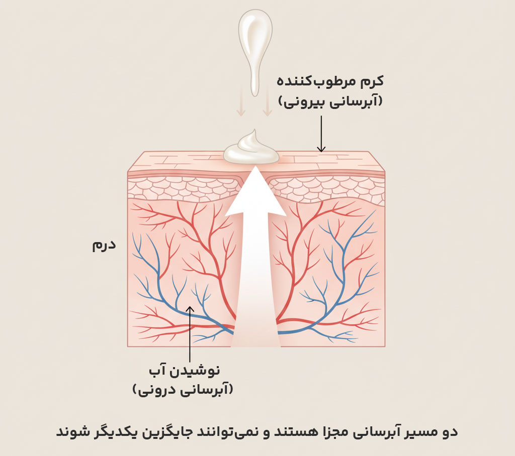 دیاگرام علمی: تفاوت آبرسانی سیستمیک (نوشیدن آب) و آبرسانی موضعی (کرم)