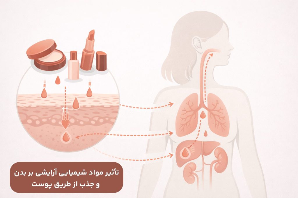 اینفوگرافیک تأثیر مواد شیمیایی آرایشی بر بدن و جذب از طریق پوست